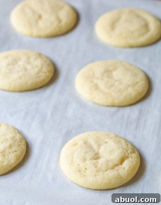 Freshly baked sugar cookies cooling on a baking sheet, with golden edges.