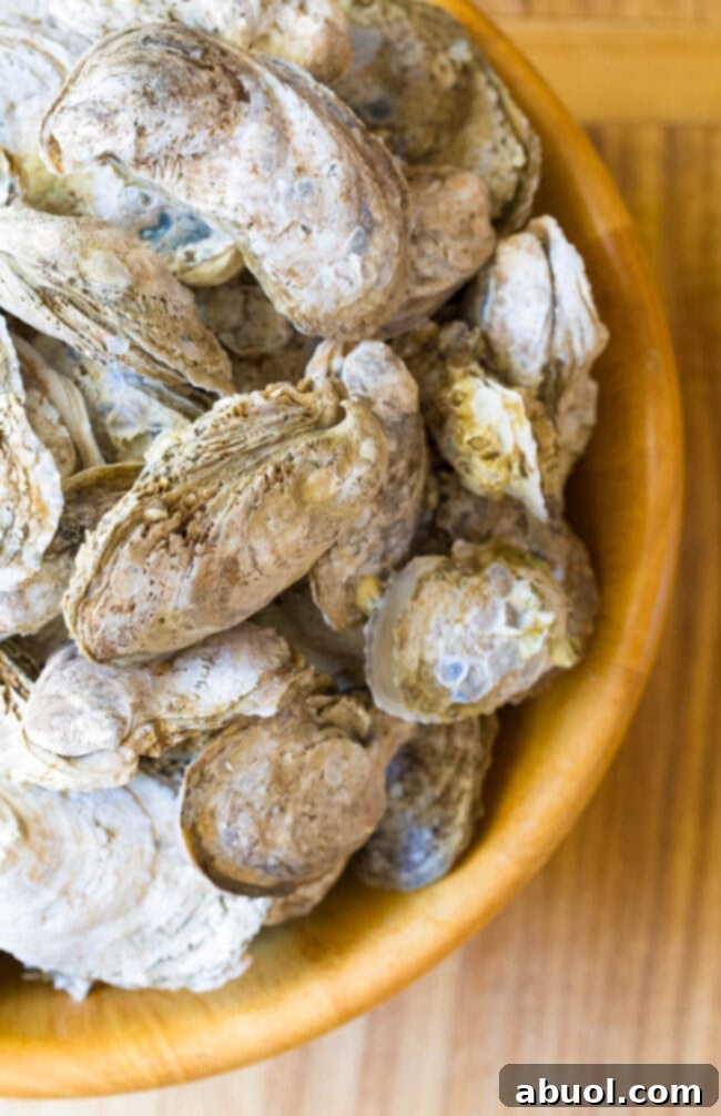 How to Shuck Oysters - bowl full of raw oysters