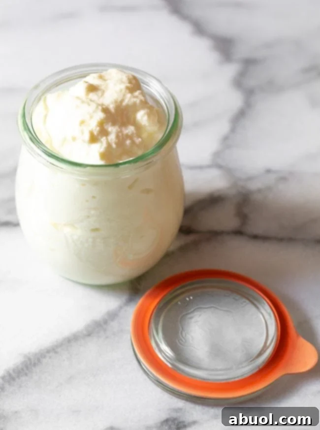 Ricotta Cheese #ASpicyPerspective #RicottaCheese #Ricotta #RicottaCheeseRecipes #HowtoMakeRicottaCheese #HomemadeRicotta #HomemadeRicottaCheese #Cheese #Homemade A glass jar of freshly made ricotta cheese, with the lid placed beside it, showcasing its inviting texture.
