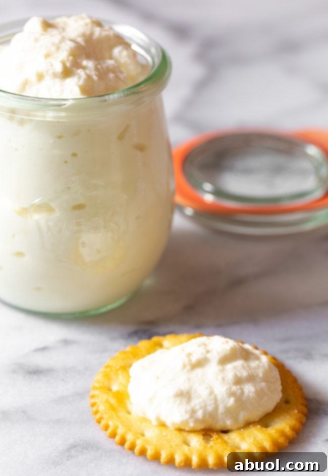 Cheese on Cracker #ASpicyPerspective #RicottaCheese #Ricotta #RicottaCheeseRecipes #HowtoMakeRicottaCheese #HomemadeRicotta #HomemadeRicottaCheese #Cheese #Homemade Glass jar of ricotta cheese in the background. In the foreground is a circle cracker with dollop of creamy cheese.