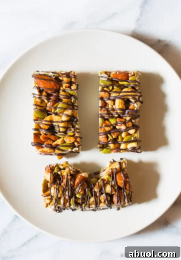 Top down view 3 paleo nut bars with chocolate drizzle on a white plate. 