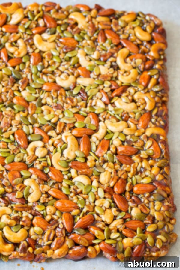 Large solid rectangle of baked Nut Bars with pepitas.