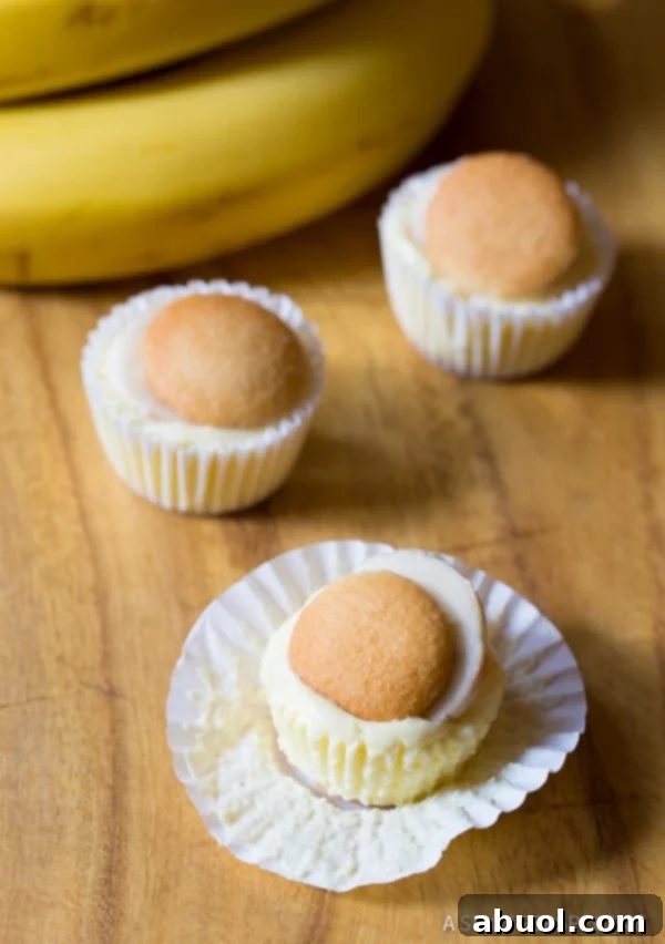 Close-up of a Mini Banana Cream Pie, showing creamy filling and banana slices