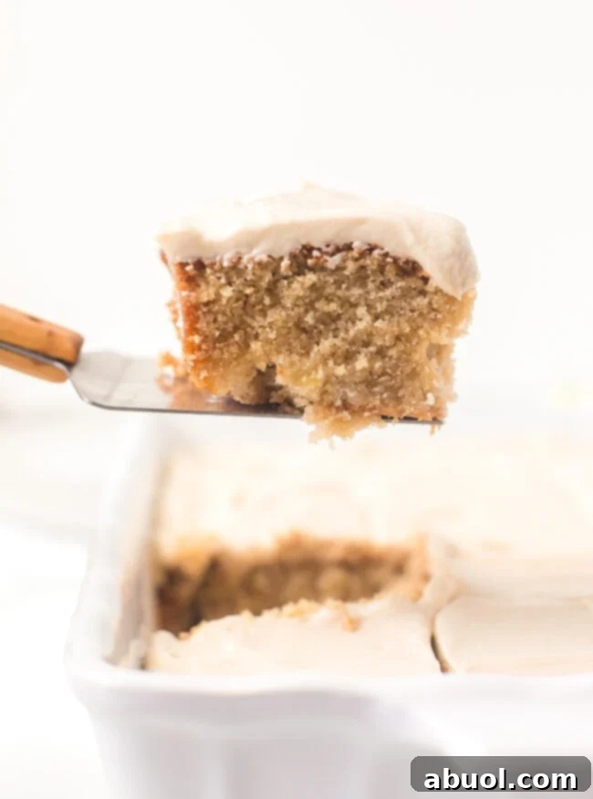Easy Apple Cake Recipe lifting out of pan 