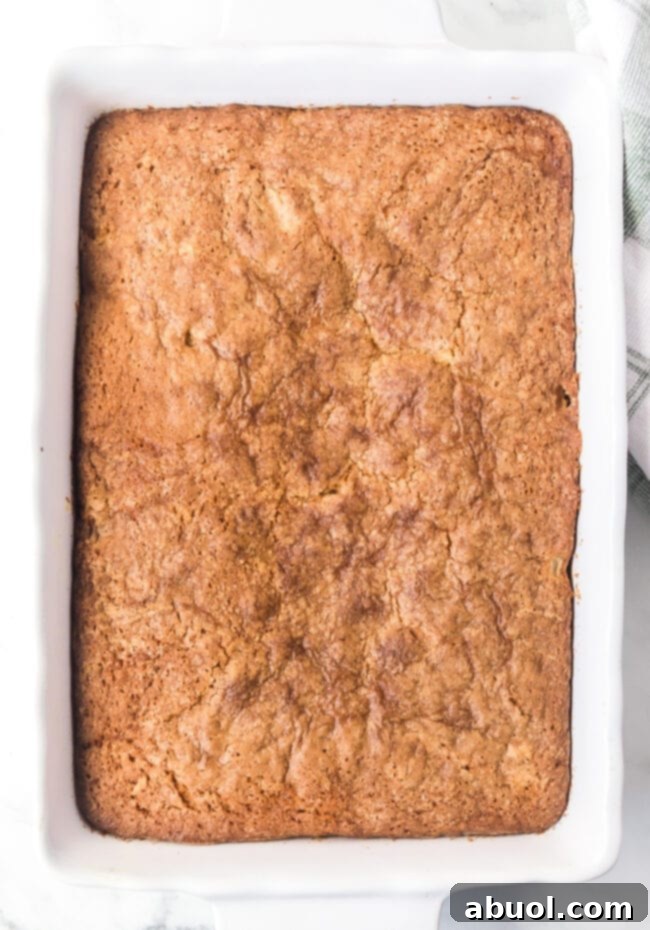 apple cake baked overhead shot