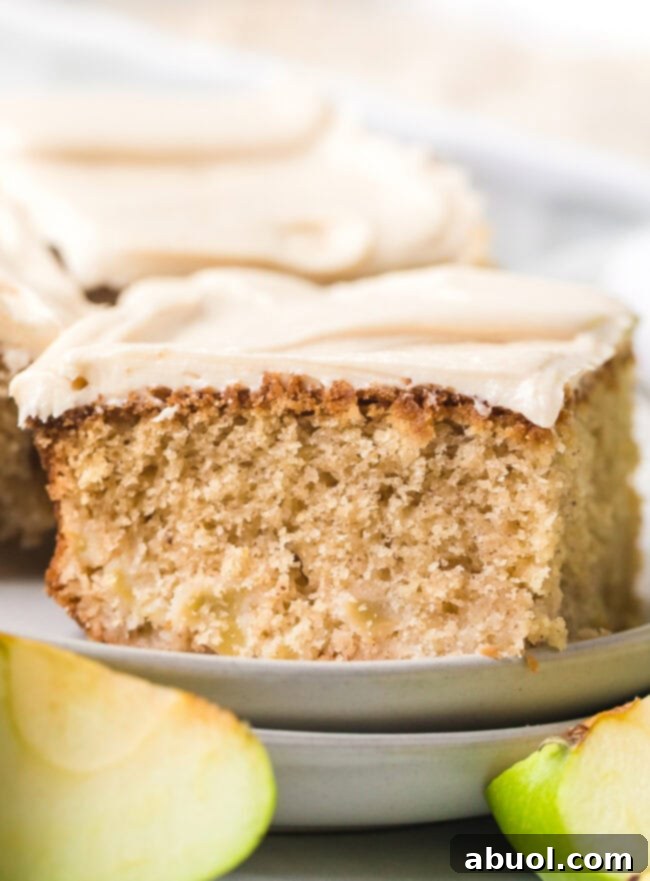 Spiced Apple Cake slice close up from the side. 