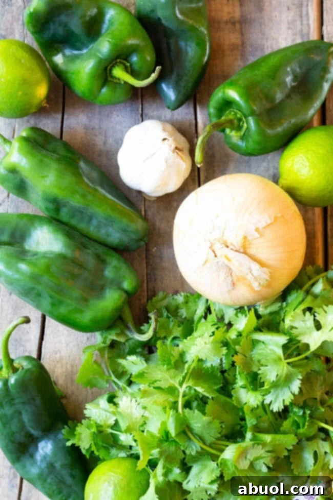 Top-down view of fresh ingredients: a whole yellow onion, a cluster of green poblano peppers, a bunch of vibrant fresh cilantro, and a head of garlic, neatly arranged for cooking.