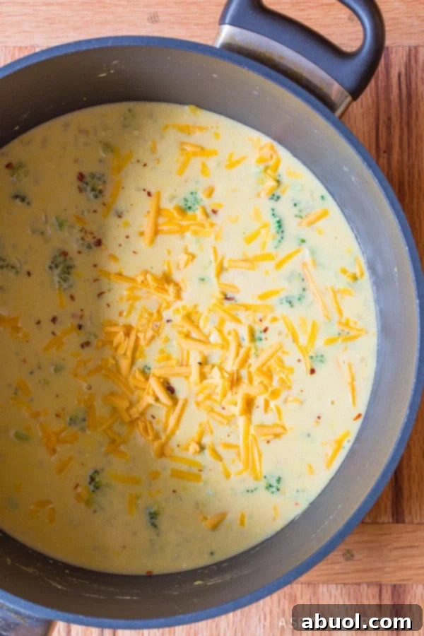 Must-Make Lightened-Up Broccoli Cheddar Soup: Perfect for Health-Conscious Foodies
