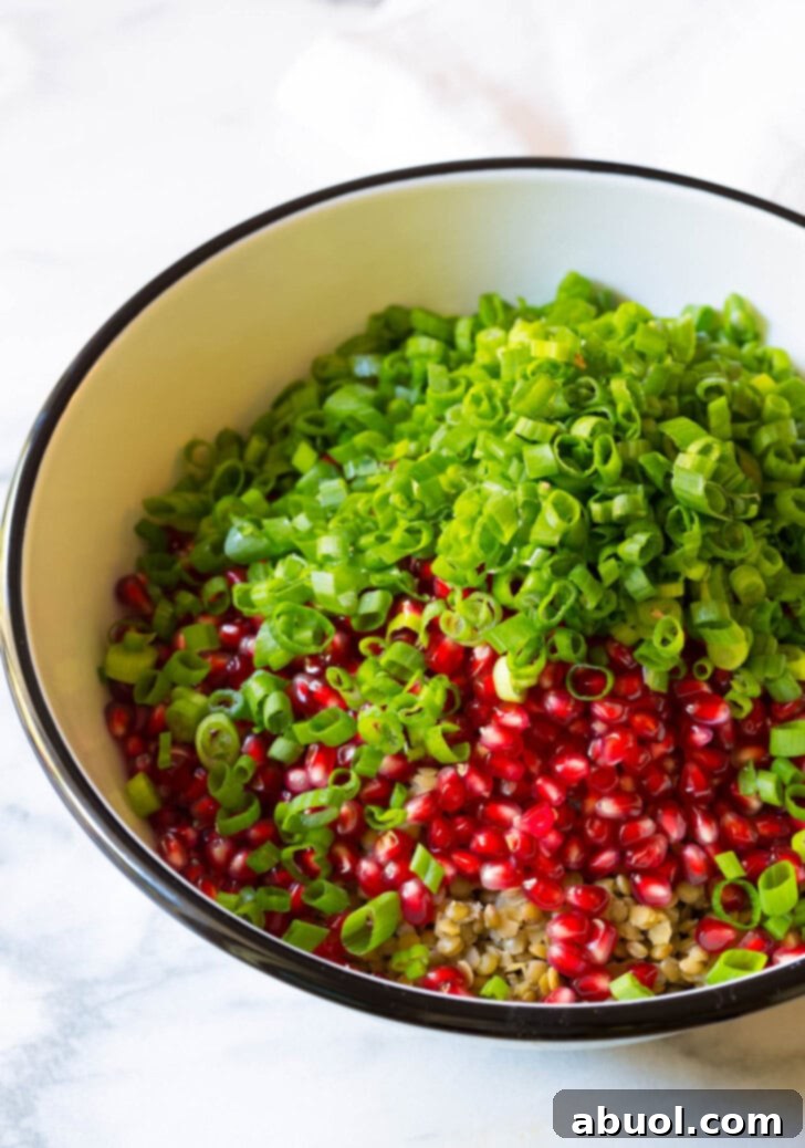Ingredients for lentil salad in a bowl before being mixed. Displays lentils, pomegranate, almonds, and scallions.