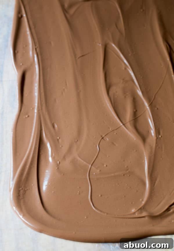Ingredients for Easy 3-Ingredient Mint Oreo Chocolate Bark