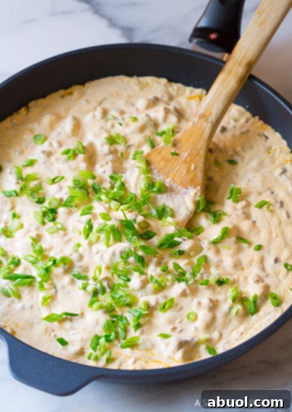 A skillet with cheese dip topped with green onions.