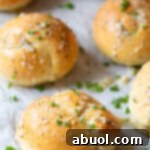 Thumbnail image of perfect 1-hour garlic knots.