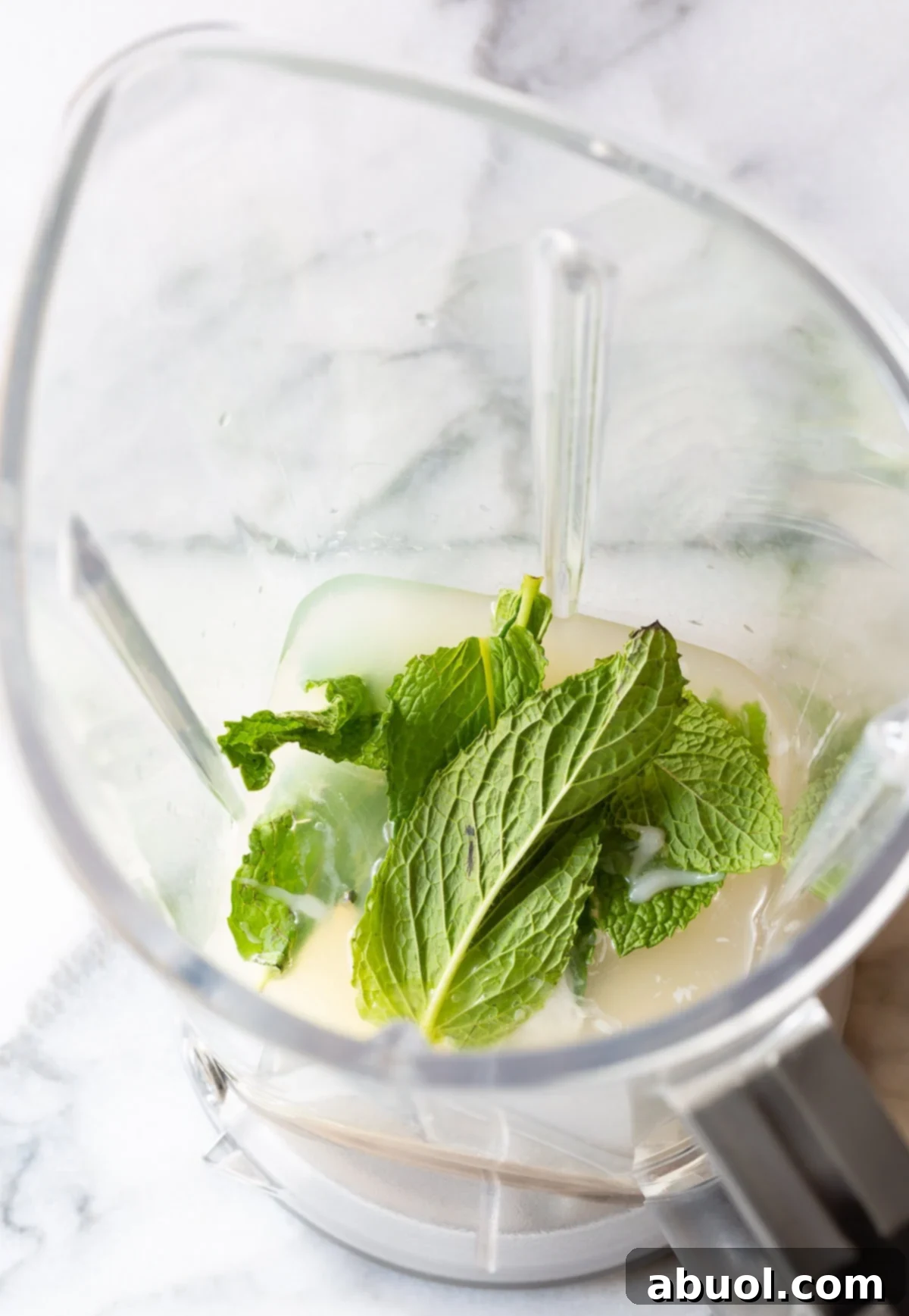 Step-by-Step Guide to Making Frozen Coconut Mojito