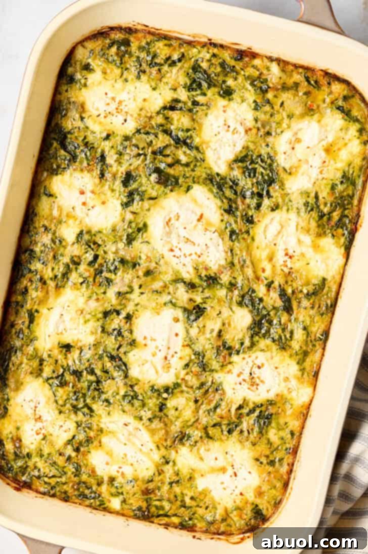 Spinach Egg Casserole in baking dish, golden brown and bubbly