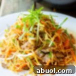Classic Cantonese Pork Lo Mein 11 How To Make Cantonese Pan Fried Noodles (Pork Lo Mein)