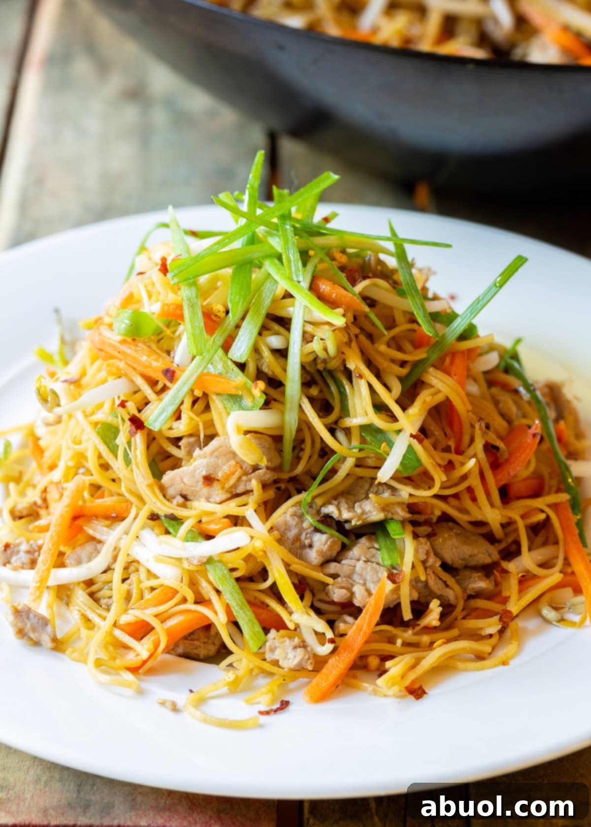 Classic Cantonese Pork Lo Mein 8 A generous pile of homemade Pork Lo Mein served on a white plate, ready to be enjoyed.