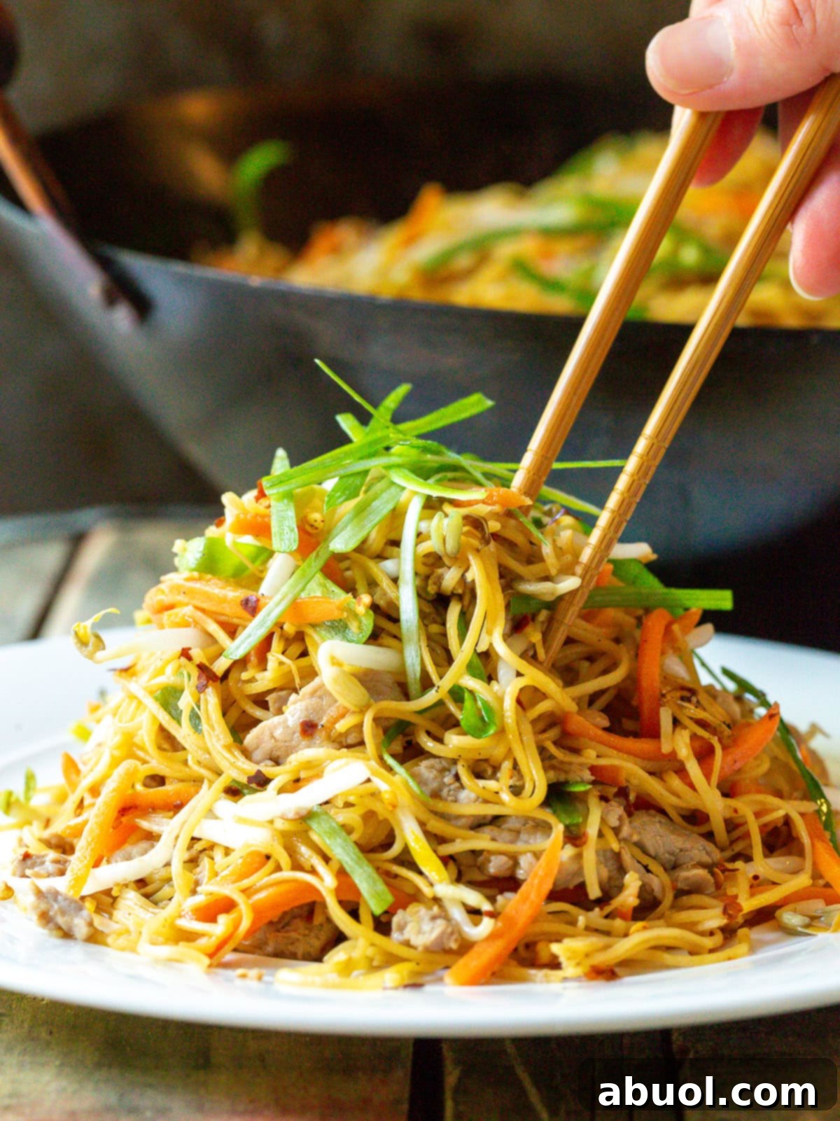 Classic Cantonese Pork Lo Mein 9 Chopsticks poised next to a large, inviting plate of Cantonese Noodles, ready for a bite.