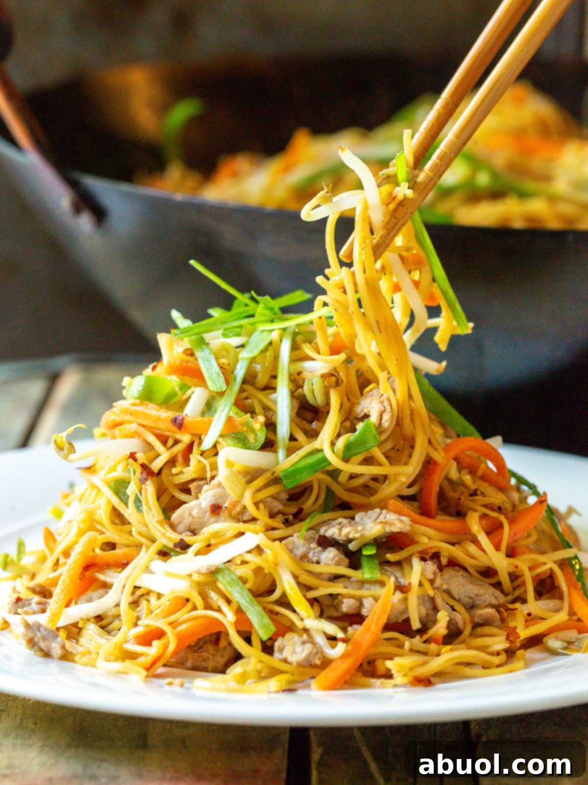 Classic Cantonese Pork Lo Mein 10 A close-up of Cantonese Lo Mein piled high on a white plate, with chopsticks picking up a delicious bite.