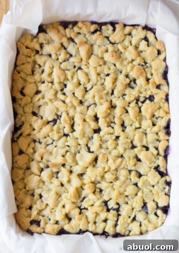 A baking dish filled with golden-brown blueberry bars, fresh out of the oven, their crust crisp and filling bubbling slightly.
