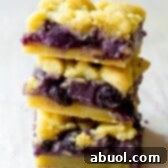 Fresh Gooey Blueberry Bars