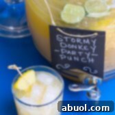 Stormy Donkey Party Punch - Large Batch Cocktail for Summer Parties! | ASpicyPerspective.com