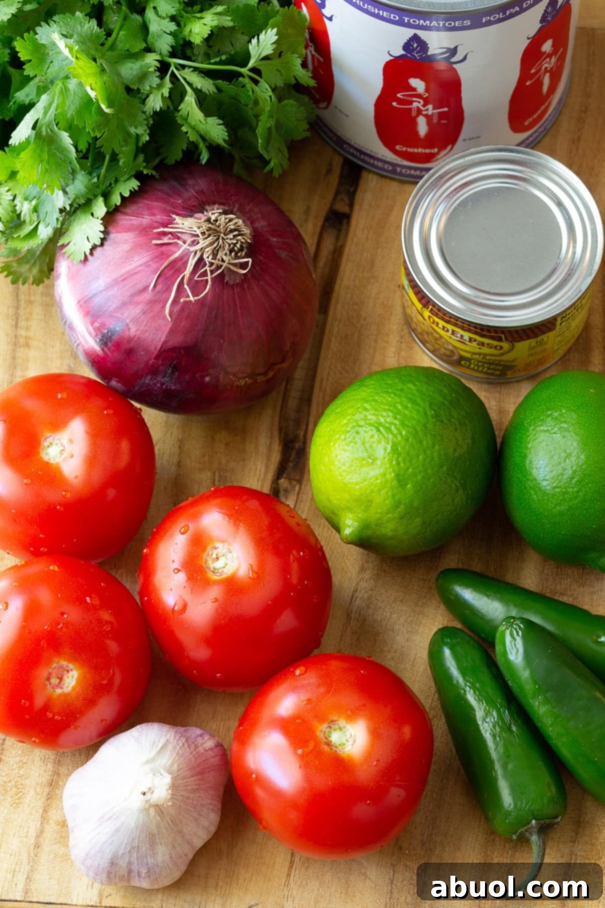 A curated selection of fresh ingredients including ripe tomatoes, red onion, garlic, jalapeños, and cilantro, laid out on a rustic wooden surface, ready for making homemade salsa.