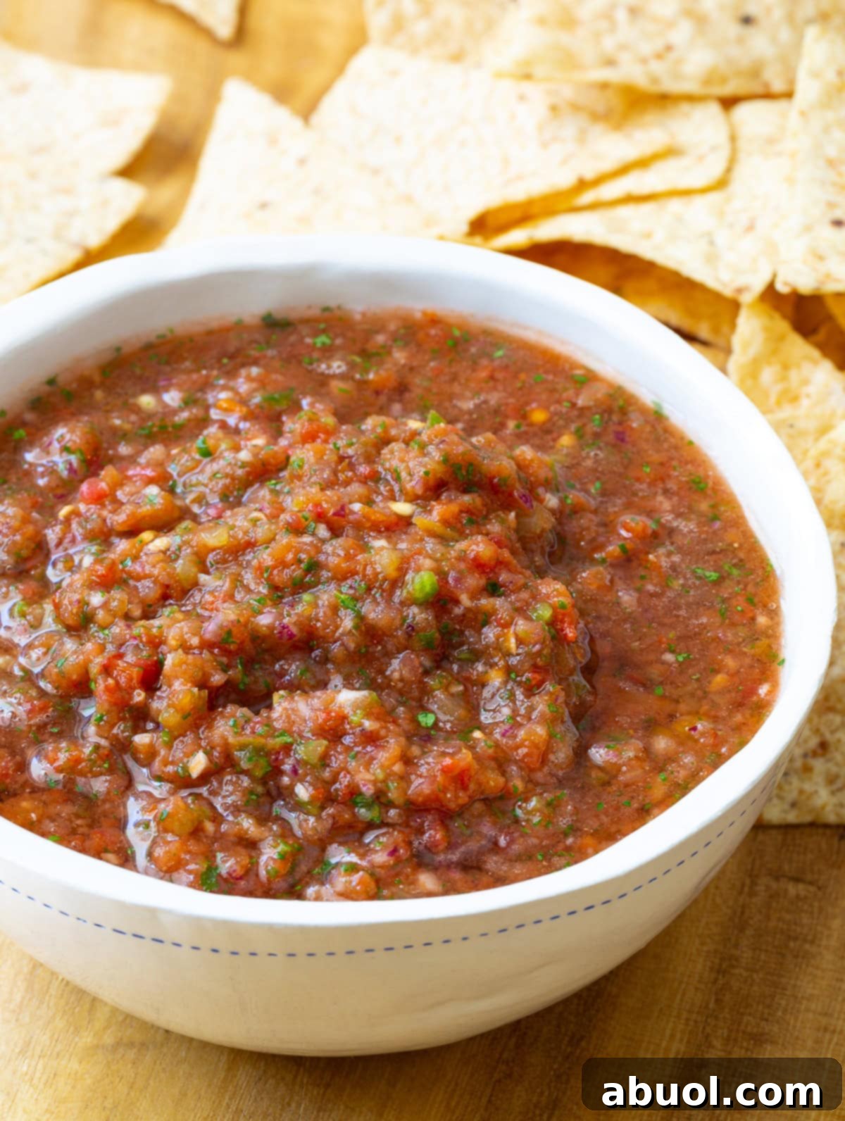 A beautifully textured bowl of homemade tomato salsa, rich with herbs and spices, highlighted by the natural light, ready to be enjoyed.