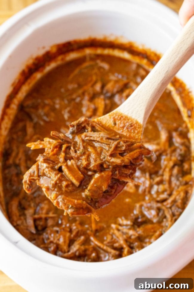 A wooden spoon proudly displays a generous portion of rich, saucy shredded beef barbacoa, ready to be enjoyed.