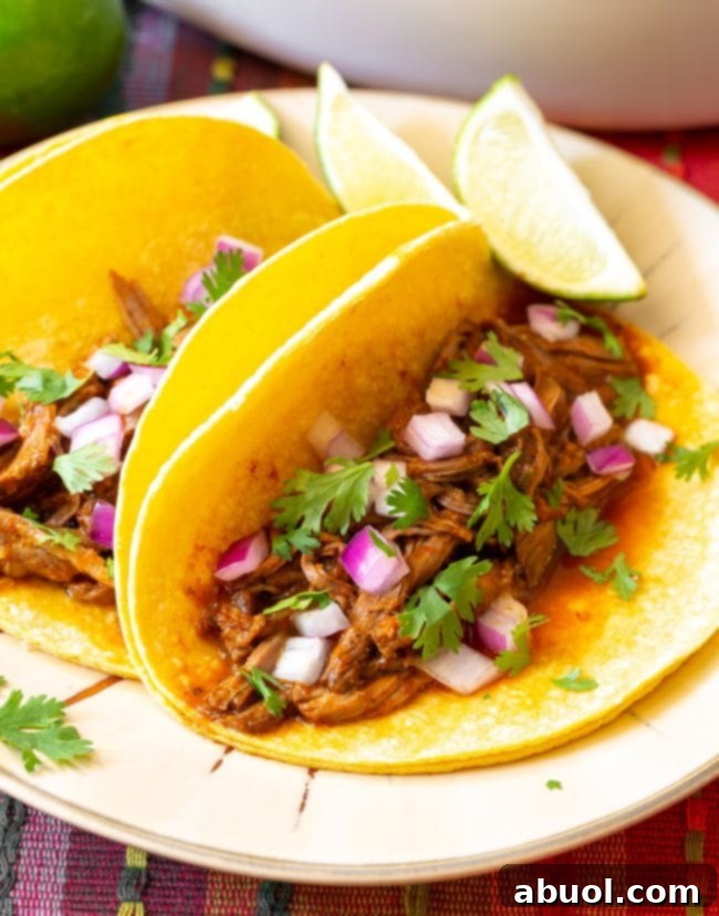 Two irresistible beef barbacoa tacos, generously filled and garnished, sit ready to eat on a clean white plate.