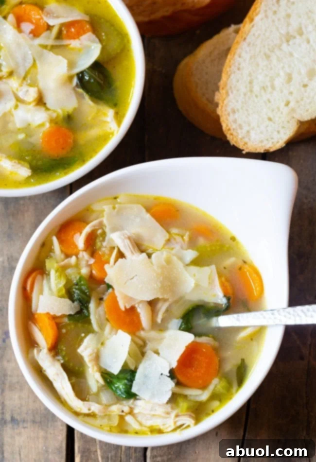 Two bowls of Italian Chicken Orzo Soup topped with shaved parmesan cheese and fresh basil, ready to be served.
