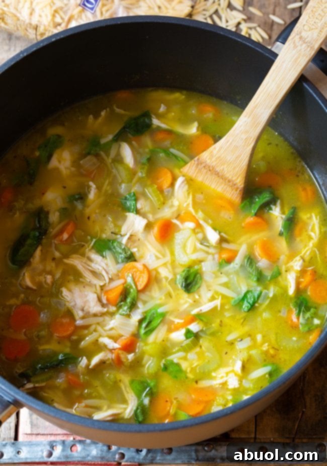 Close-up of Italian Chicken Orzo Soup in a pot, featuring orzo, fresh basil, and shredded chicken, with a wooden spoon resting in the soup.