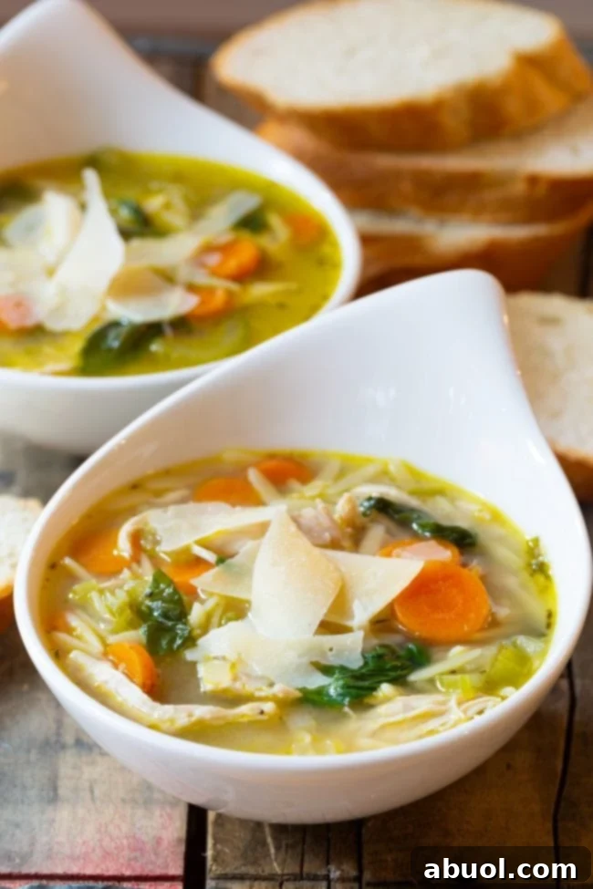 Italian Chicken Orzo Soup served in two elegant white bowls, shaped like giant soup spoons, with a rustic napkin.