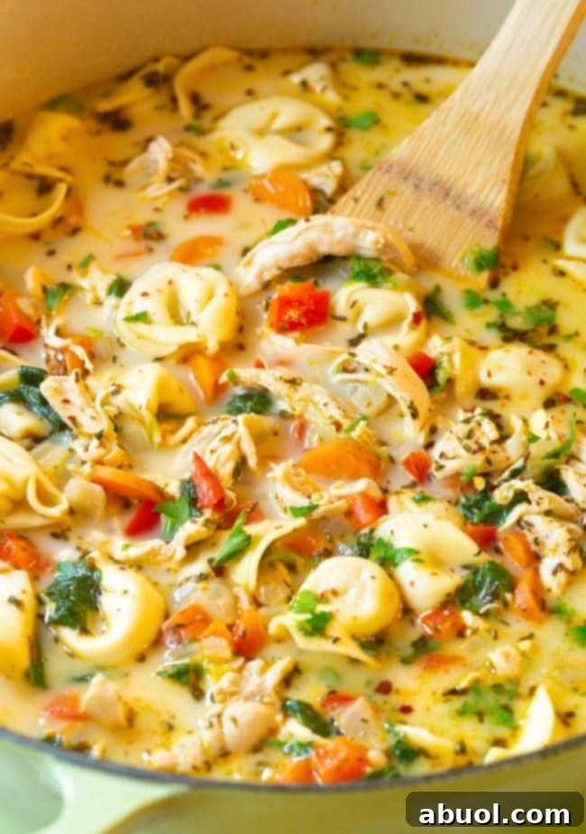 Creamy broth and chicken blended with tortellini in a soup pot.