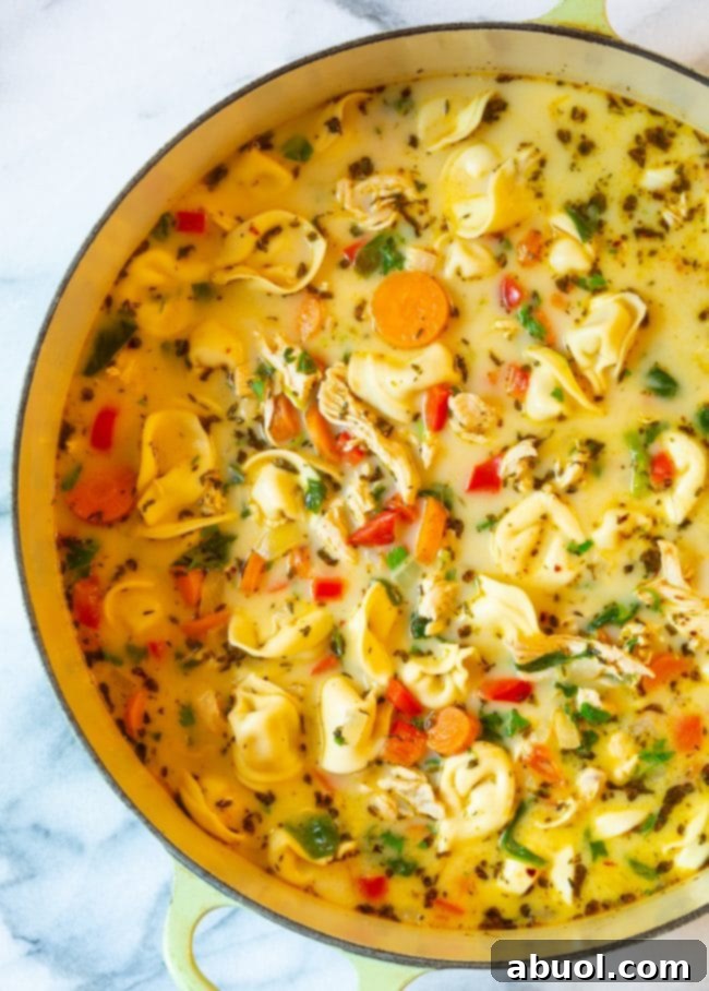 Overhead shot of chicken tortellini soup in a dutch oven.