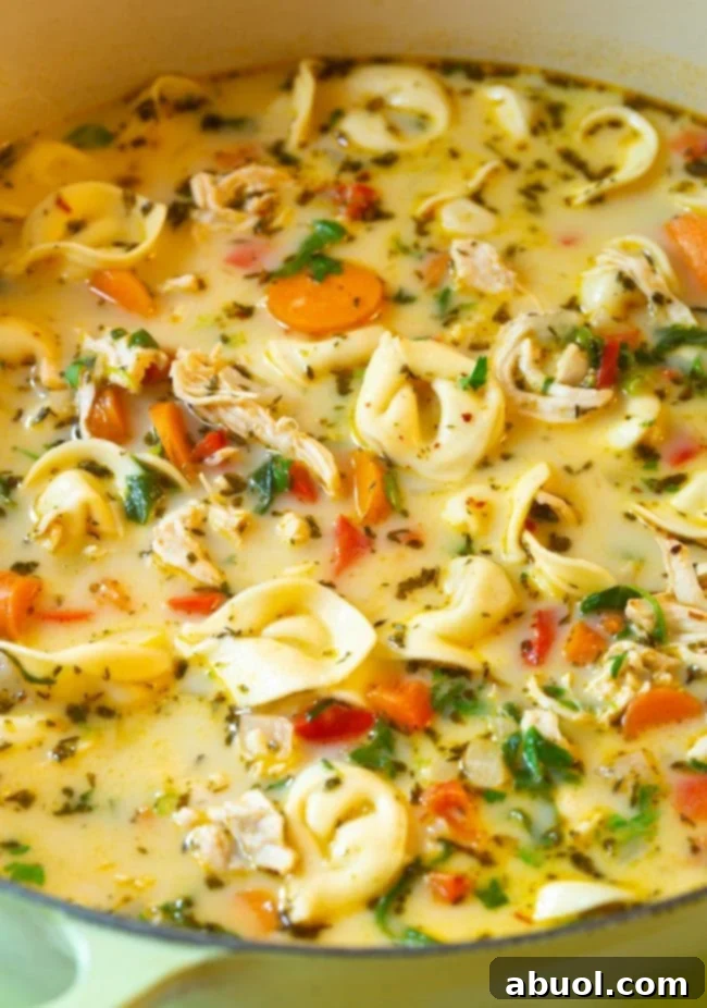 Close up shot of soup with chicken, tortellini, and veggies in a pot. 