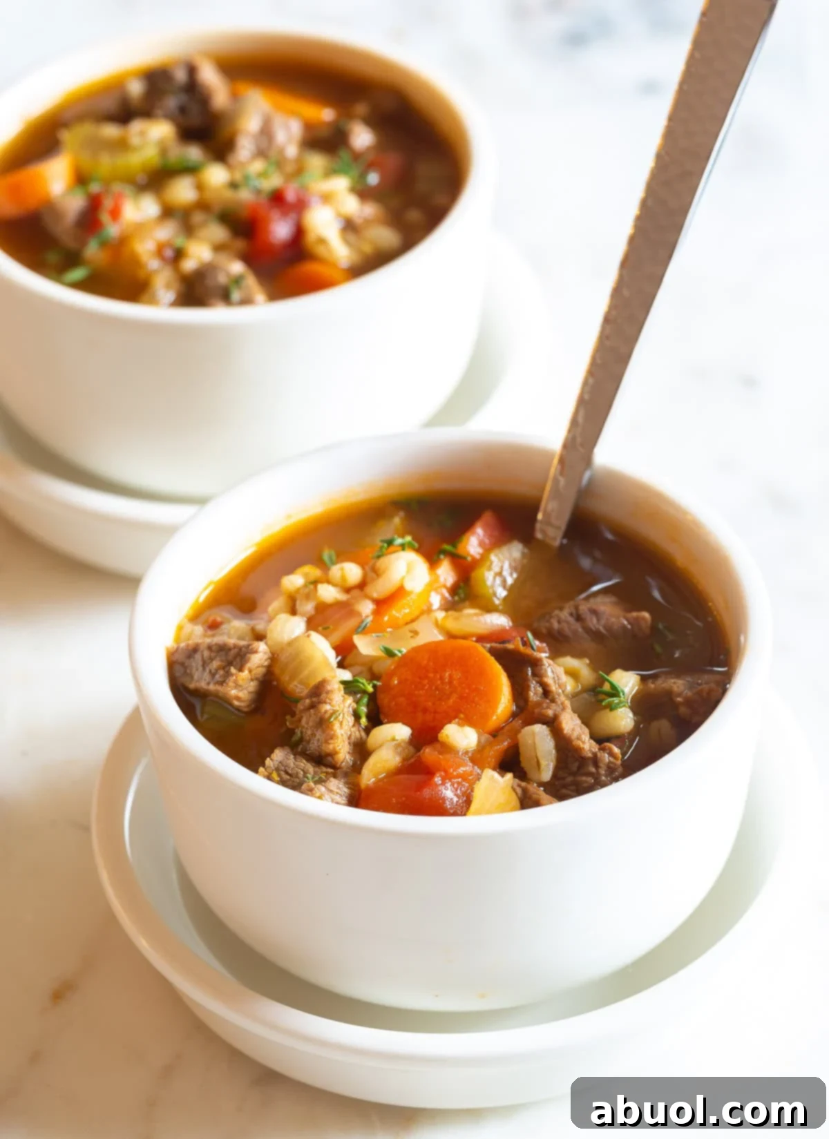 Front view of a bowl of beef barley soup with vegetables, garnished with fresh herbs