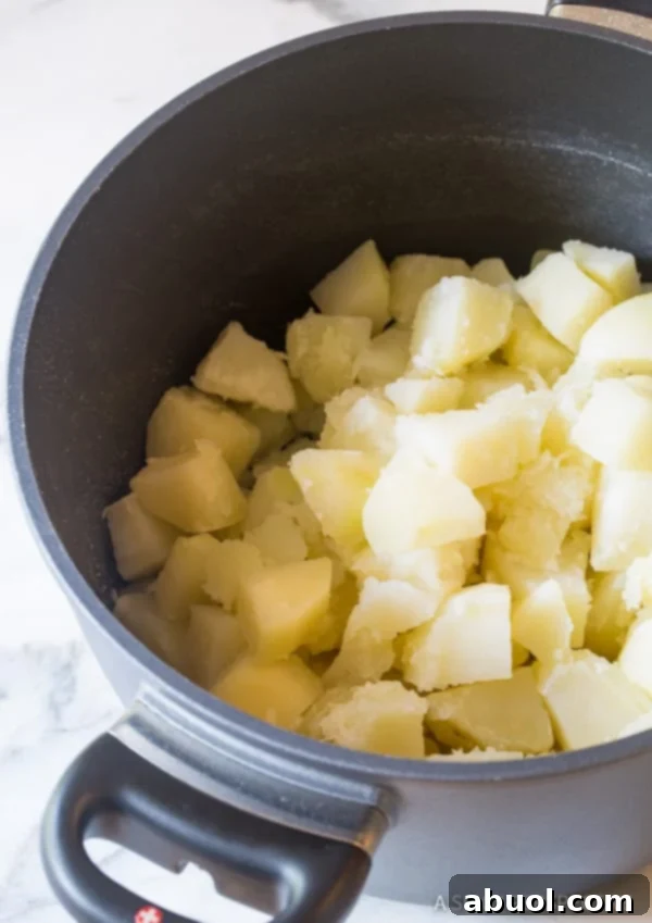 mashed potatoes in pot