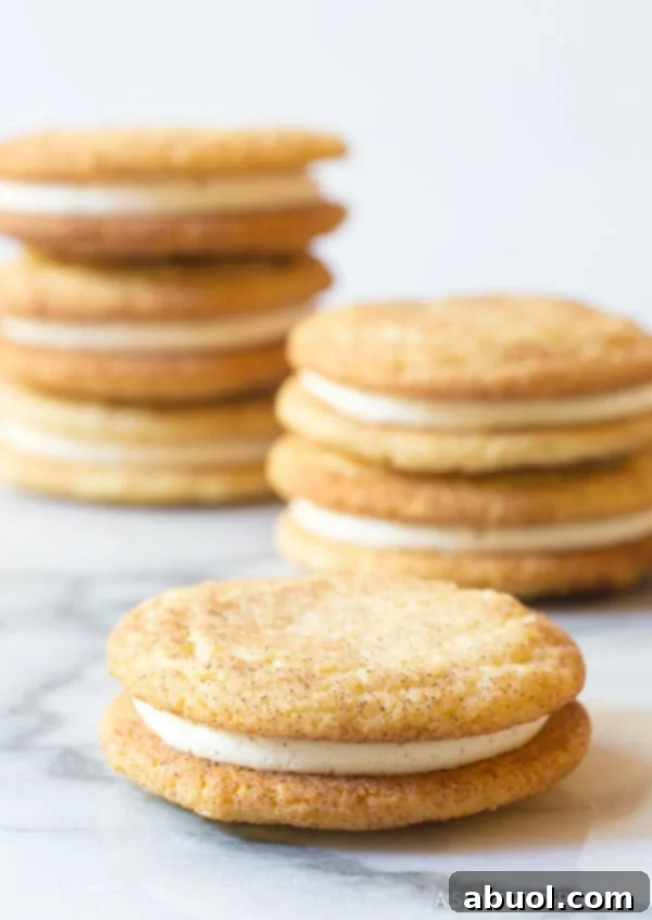 Snickerdoodle Sandwich Cookies made with Snickerdoodle Cookies - close up shot