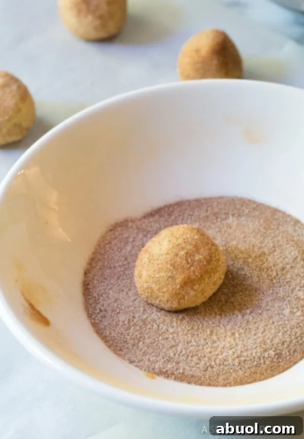 Snickerdoodle Cookie dough balls rolled in cinnamon sugar