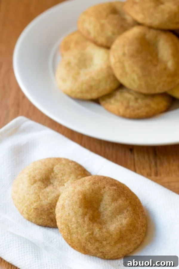 Best Snickerdoodle Cookies on  napkin