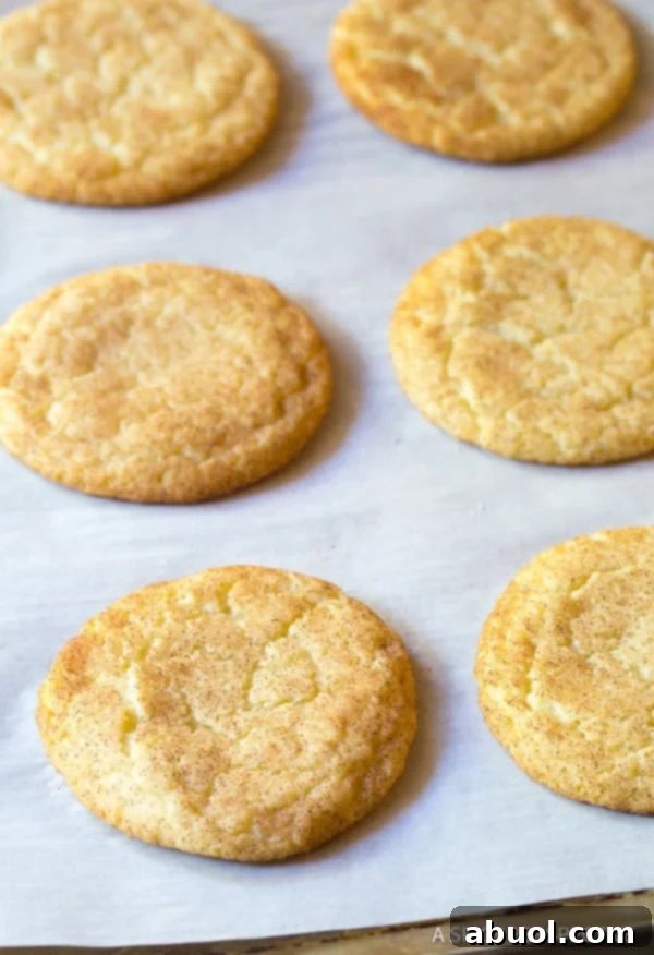 Best Snickerdoodle Sandwich Cookie Recipe  #ASpicyPerspective #snickerdoodle #cookies #holiday #christmas #whoopiepie