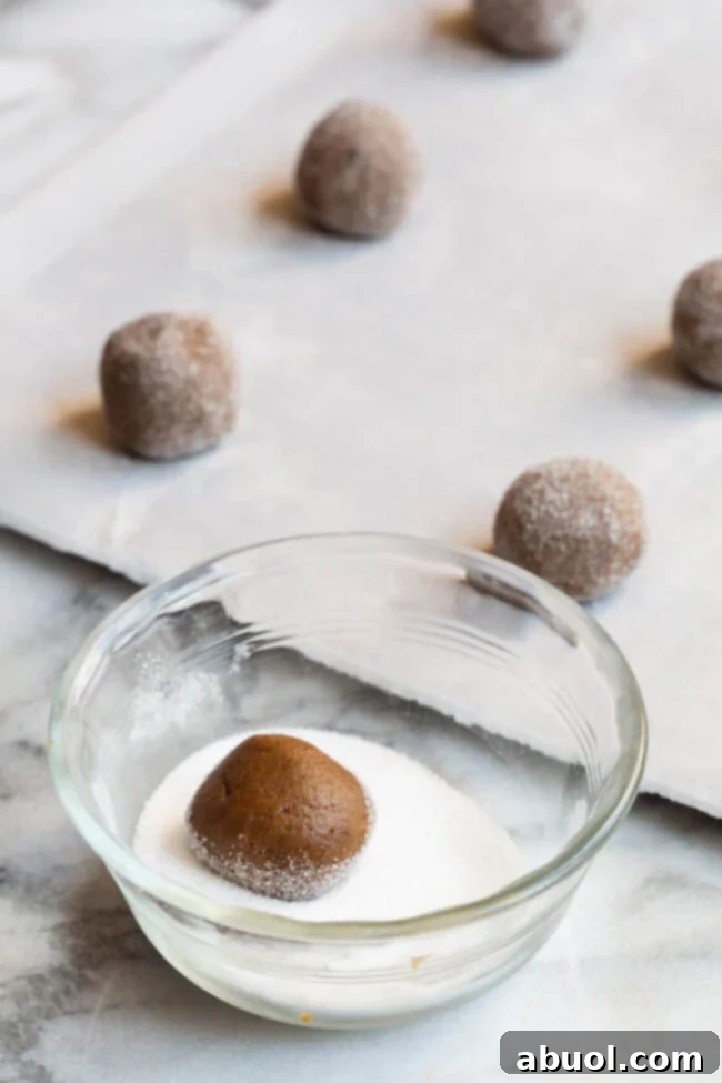Hands rolling molasses cookie dough in granulated sugar before baking