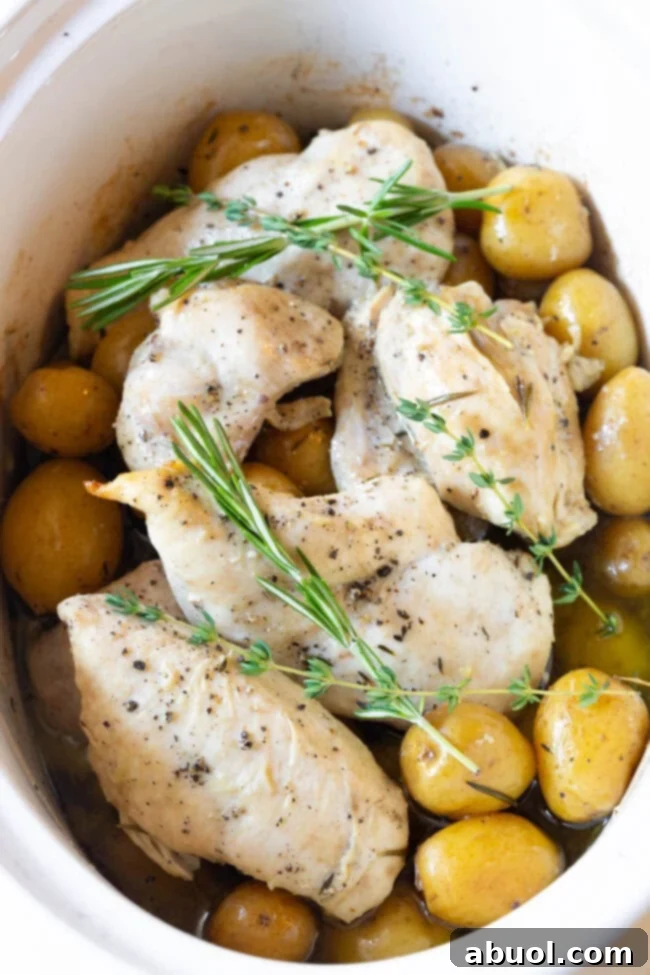 Slow cooker with small potatoes and chicken in it topped with fresh herbs. 