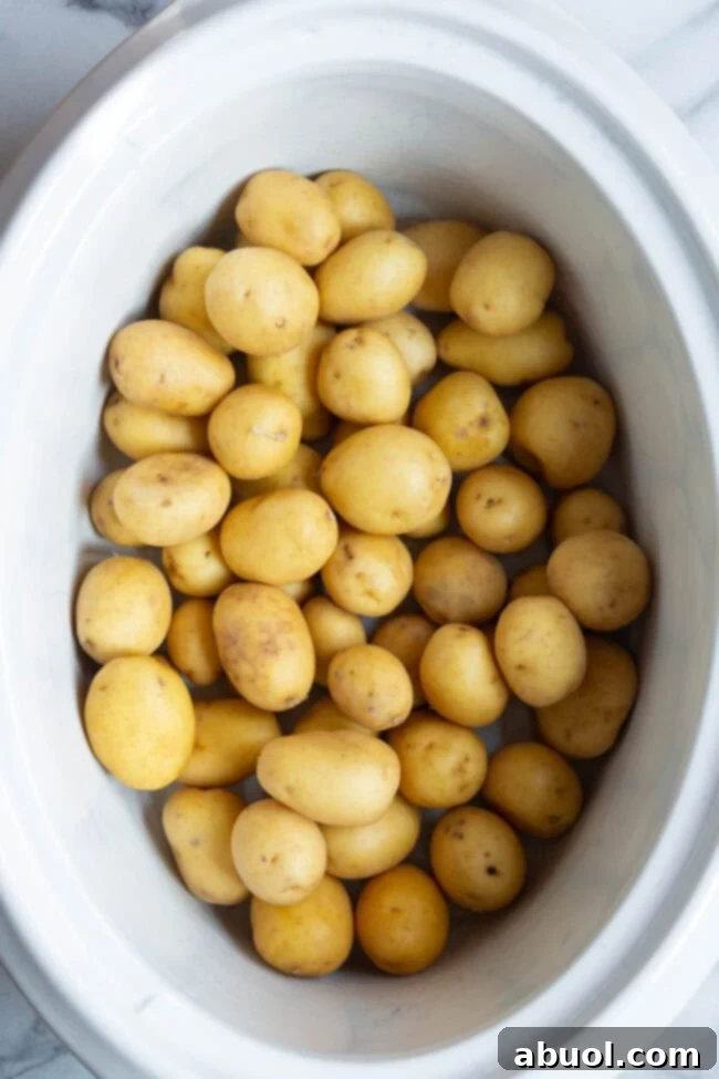 Raw potatoes in a white slow cooker. 