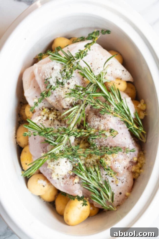 Garlic butter chicken with fresh herbs in a crockpot before being cooked. 