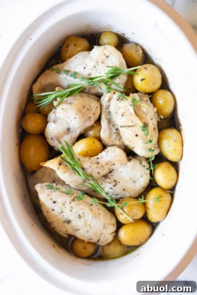 Garlic butter chicken and potatoes in the crockpot after being cooked. 