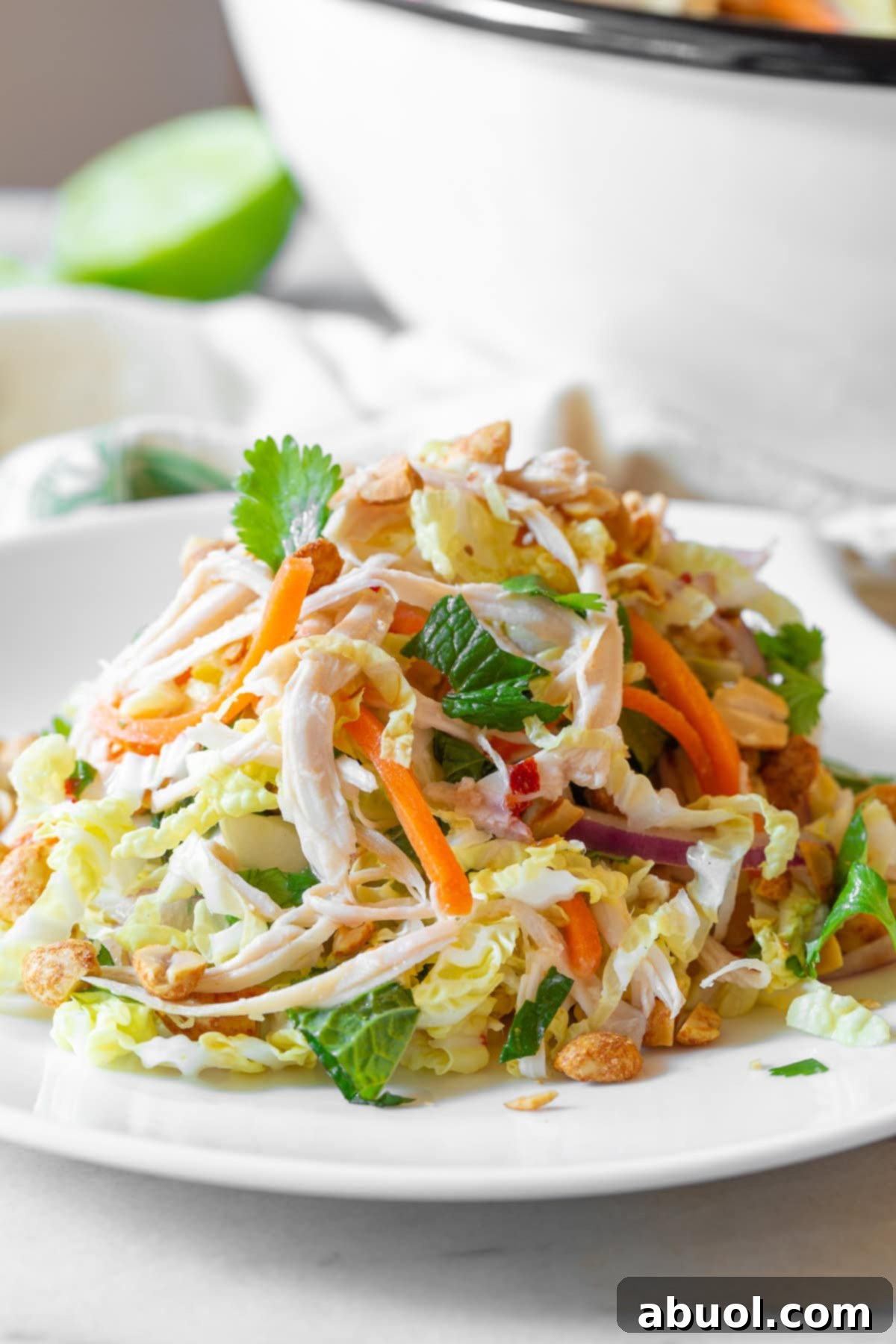 A perfectly portioned serving of Goi Ga Vietnamese chicken salad on a white plate, ready to be enjoyed.