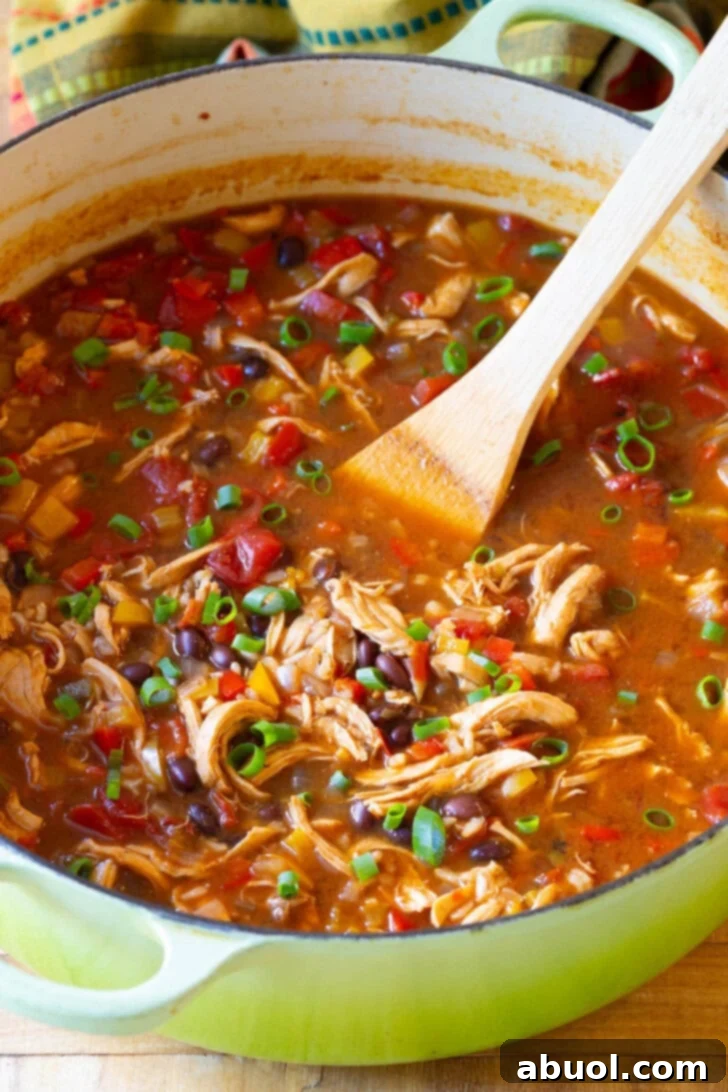 Chicken Fajita Soup in large green pot with chunks of chicken, beans, and vegetables.