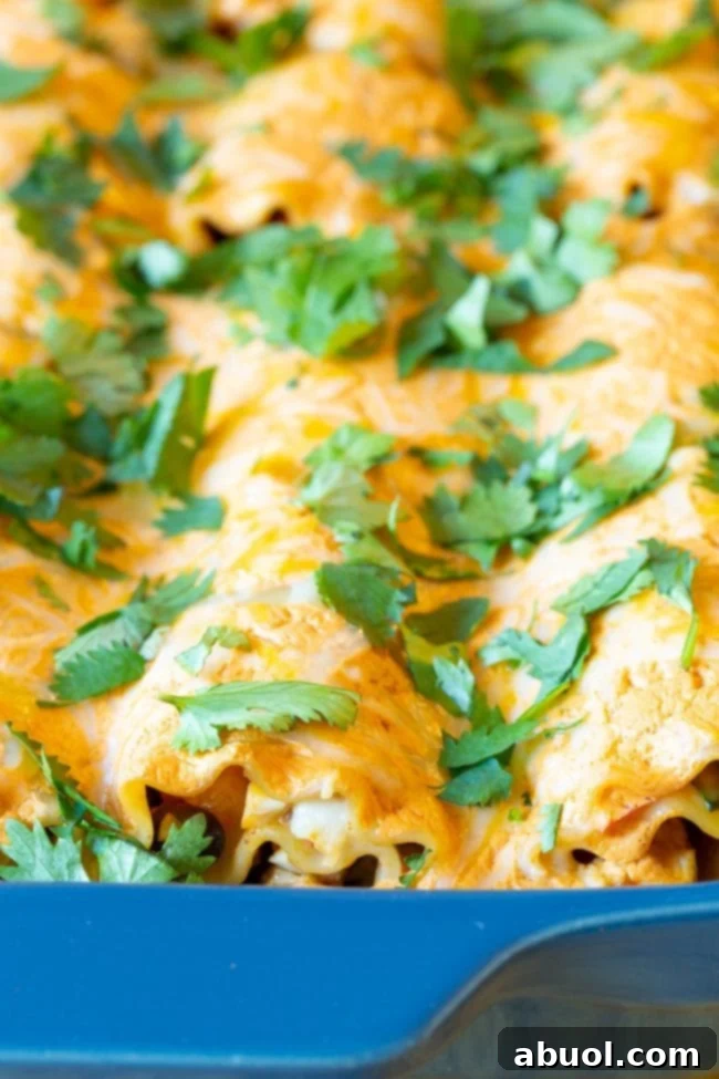 Southwest lasagna rolls in a baking dish after being baked. 
