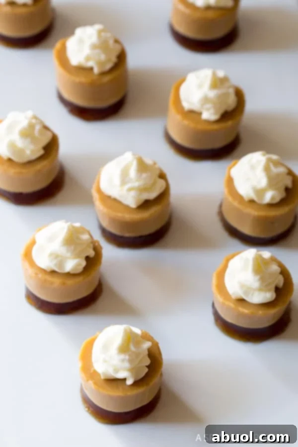 Overhead view of several round Baileys Irish Cream jello shots, each with distinct coffee and cream layers, topped with whipped cream.